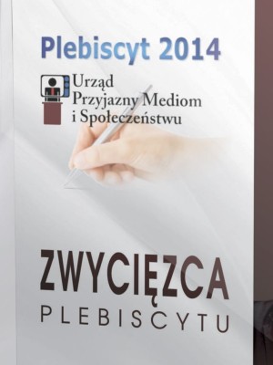 wizualizacja_nagrody_w_2014_roku