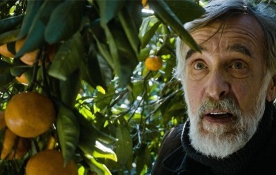 mandarynki_mn-796x507