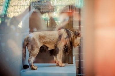 gda zoo D_Linkowsk_gda