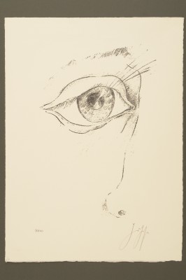 To nie moja bajka_ Gunter Grass, Królowa Śniegu, Di-e Schneekönigin II