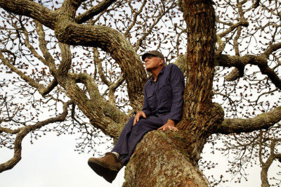 byl sobie las photo-Il-etait-une-foret-2013-22