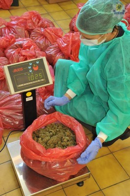 kwpgdansk-marihuana18kg (4)