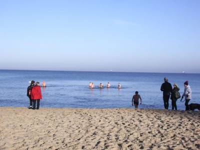 Morsy 14 grudnia 2014 fot_J_Wikowski IMGP3169