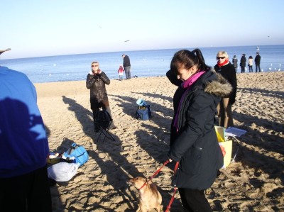 Morsy 14 grudnia 2014 fot_J_Wikowski IMGP3189