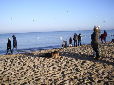 Morsy 14 grudnia 2014 fot_J_Wikowski IMGP3253