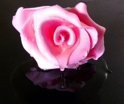 TO-En Desert Rose fot_TO-EN