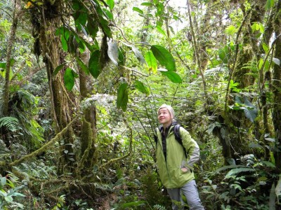 M.Kolanowska,Peru, archiwum prywatne