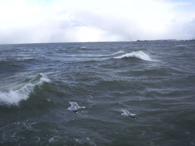 Morsy Gdansk_sztorm_fot_J_Wikowski_IMGP3873