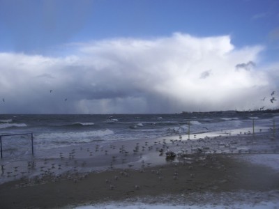 Morsy Gdansk_sztorm_fot_J_Wikowski_IMGP3891