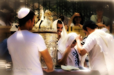 Fot_MAX2729 mini12 MM