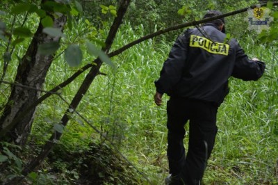 pol zaginal staruszek