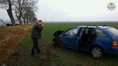 pol nowy staw dachownie