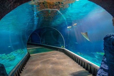 Afrykarium, fot. www.afrykarium.com.pl (2)