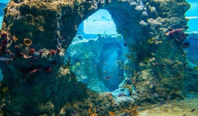 Afrykarium, fot. www.afrykarium.com.pl