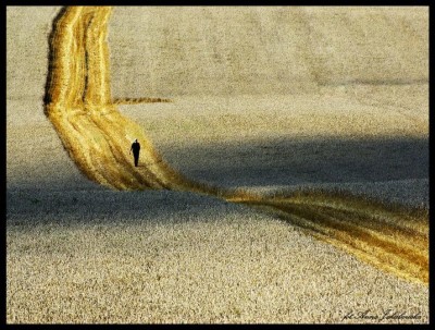 Jakubowska 2-fot. Anna Jakubowska-032