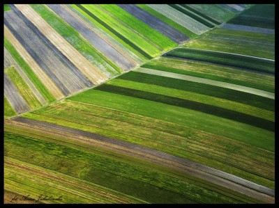 Jakubowska 5-fot. Anna Jakubowska. Anna Jakubowska-031