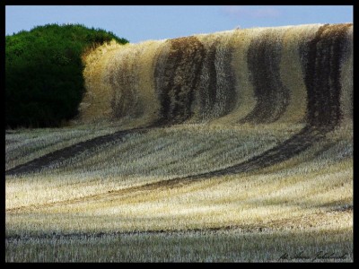 Jakubowska 6-fot. Anna Jakubowska-031