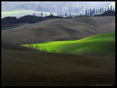 Jakubowska 7-fot. Anna Jakubowska. Anna Jakubowska-Gdańsk