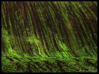 Jakubowska 8-fot. Anna Jakubowska. Anna Jakubowska-016