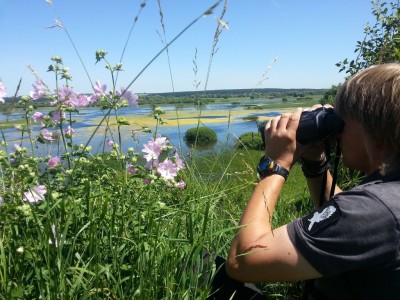 Natura Zdjęcie ze zbiorów projektu Misja Natura