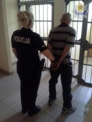 pol gdansk wyrzucil kota