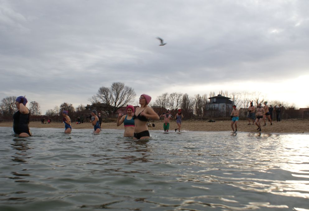 MORSY BAŁTYCKIE 15_12_2019 Fot. J. Wikowski