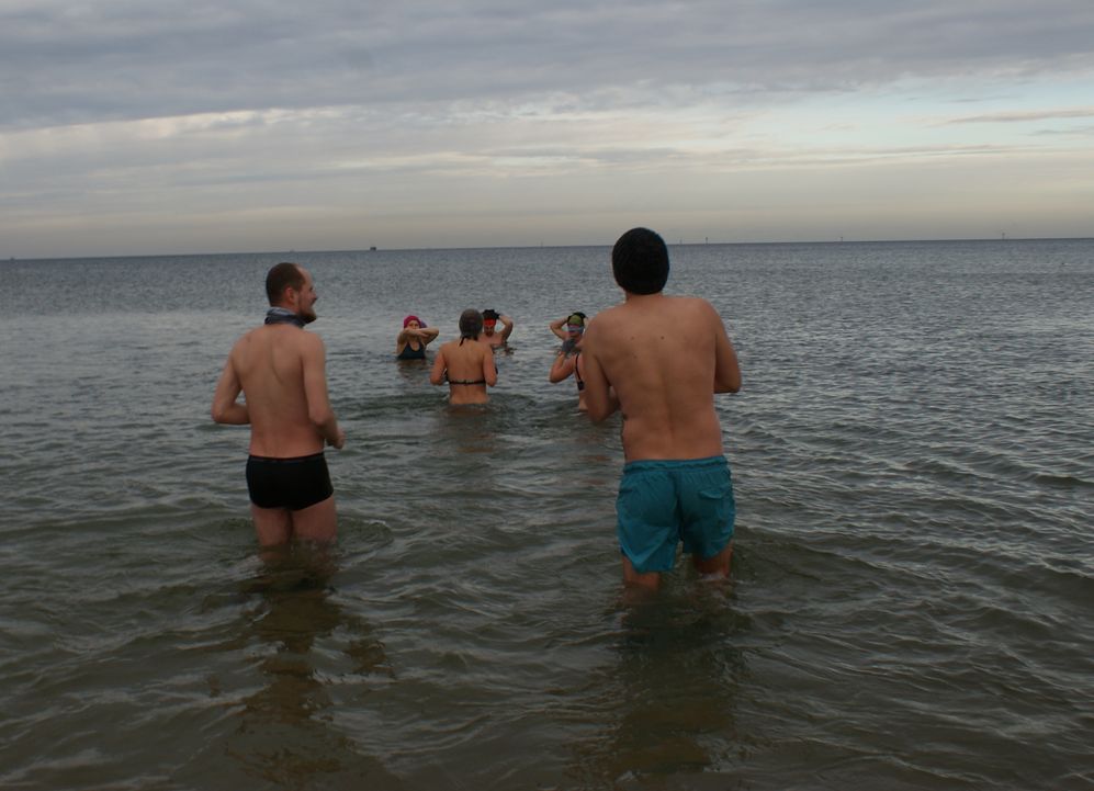 MORSY BAŁTYCKIE 15_12_2019 Fot. J. Wikowski