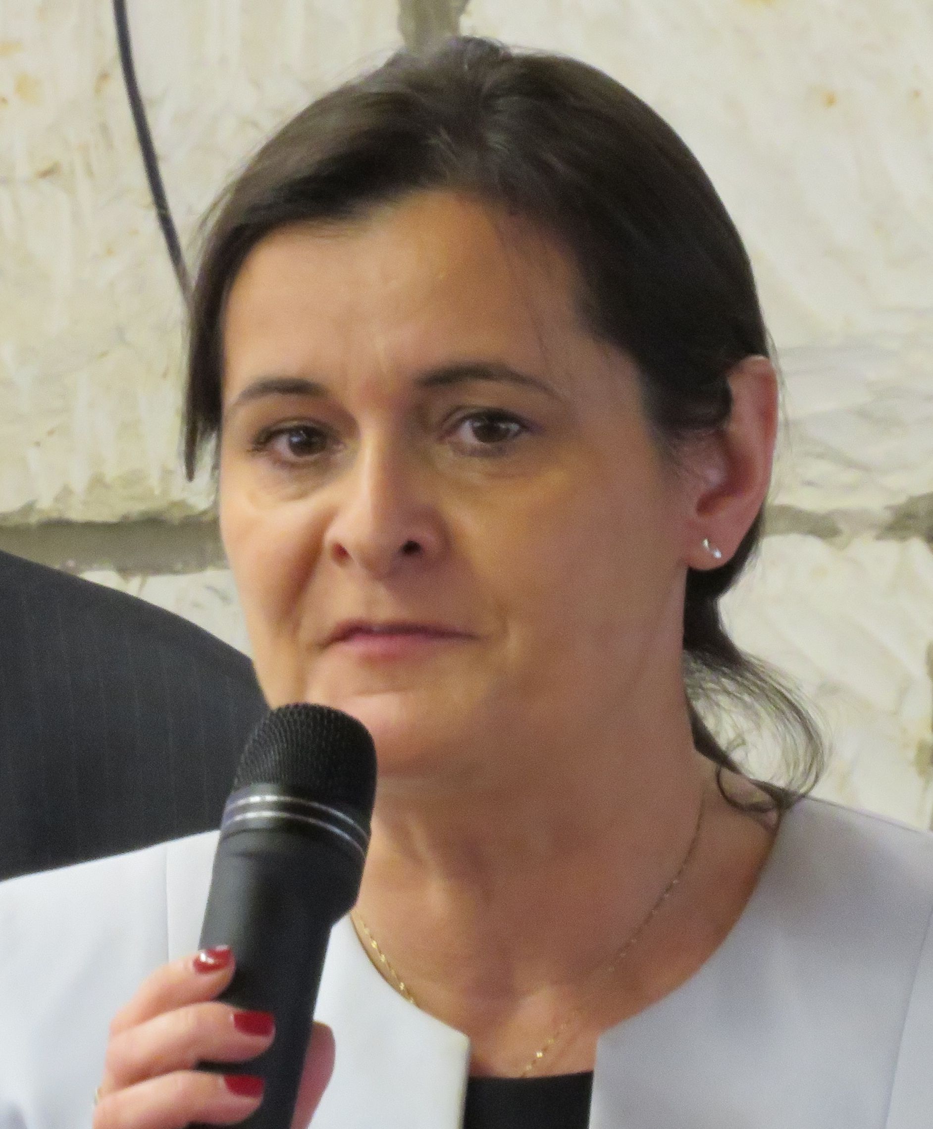 Zjazd 18_11_2017 TW hajdasz IMG_0237