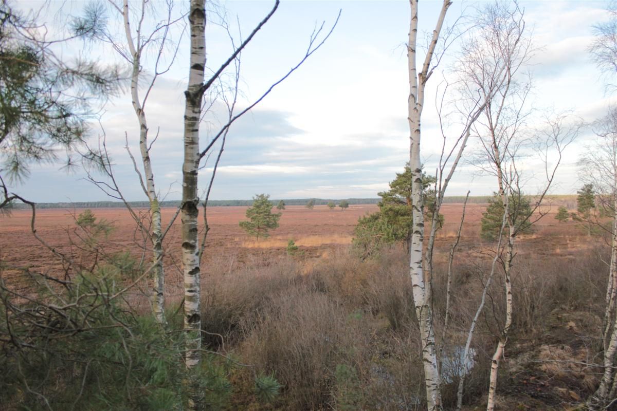 rezerwa-bielawa-img_9910