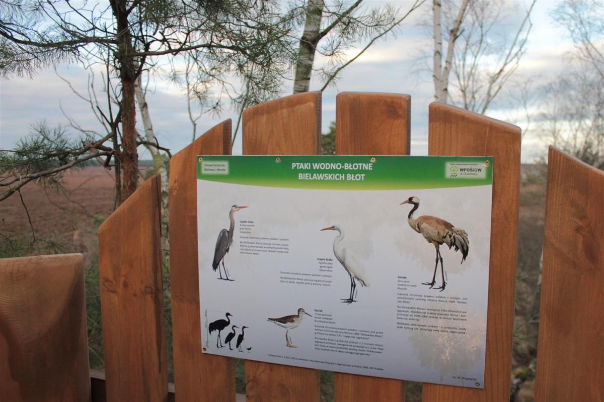 rezerwa-bielawa-img_9915