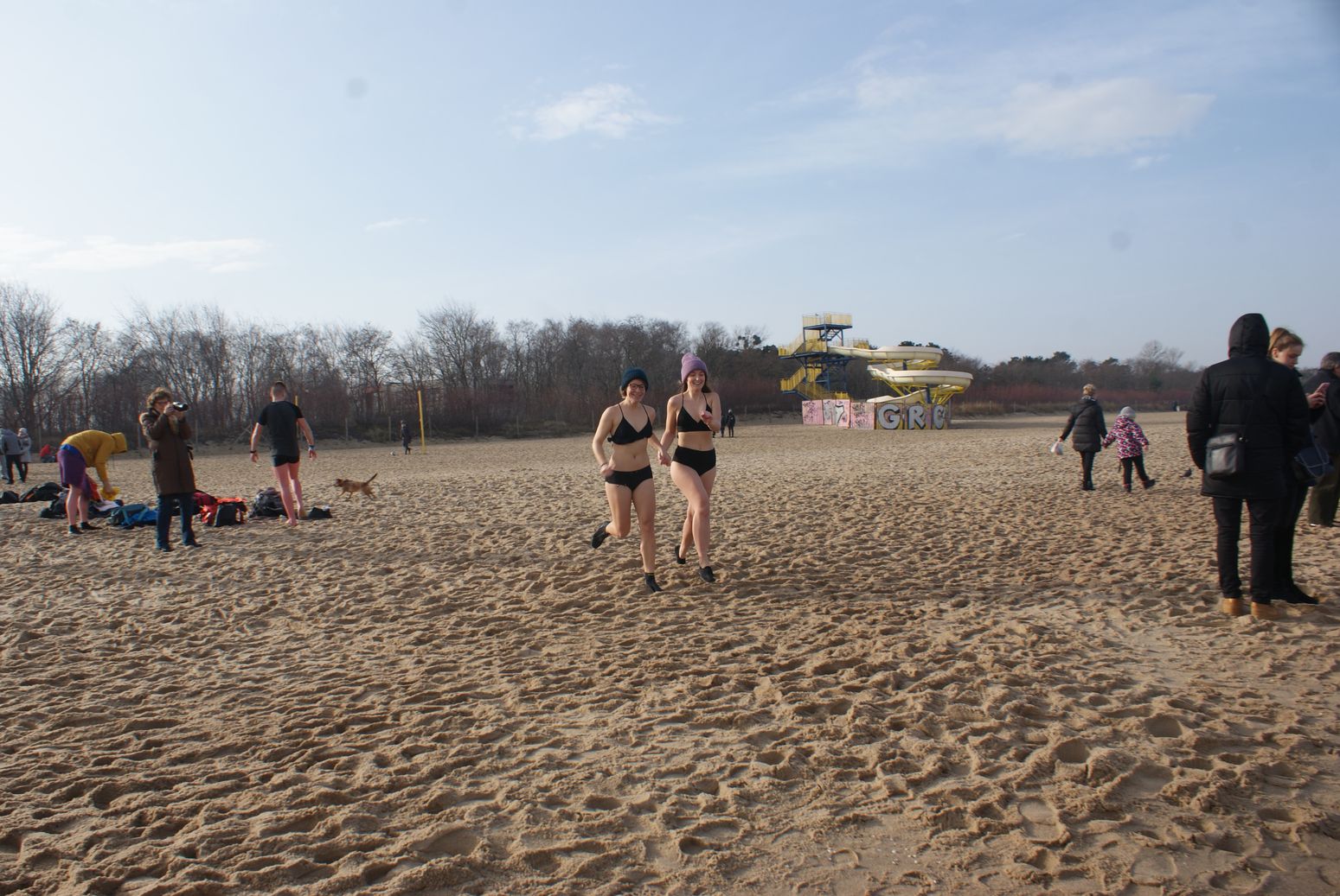 Morsy gdańskie Fot. Janusz Wikowski