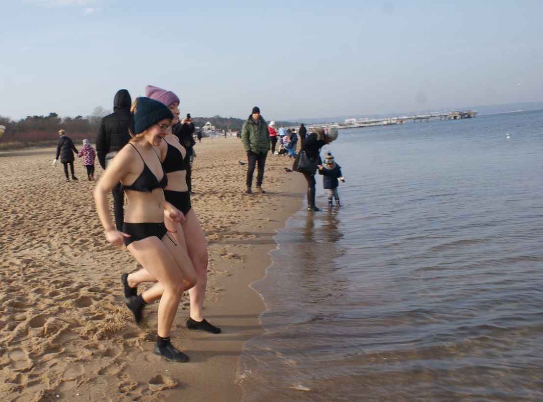 Morsy gdańskie Fot. Janusz Wikowski