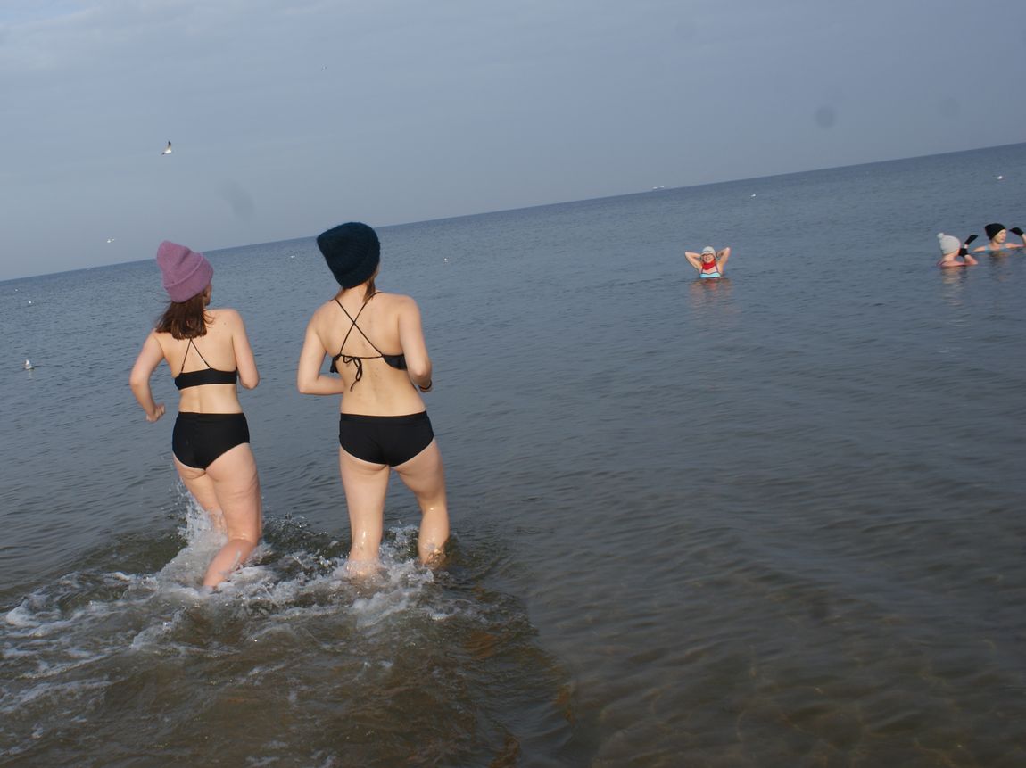 Morsy gdańskie Fot. Janusz Wikowski