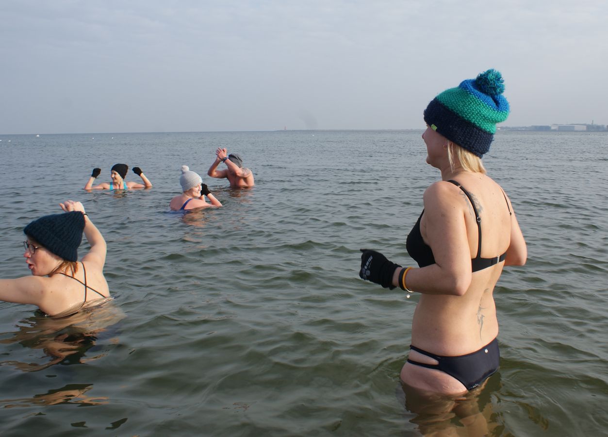 Morsy gdańskie Fot. Janusz Wikowski