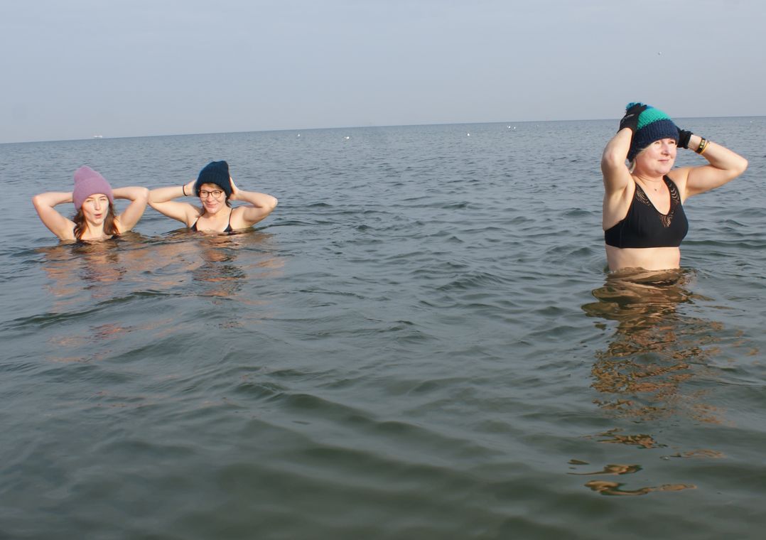 Morsy gdańskie Fot. Janusz Wikowski