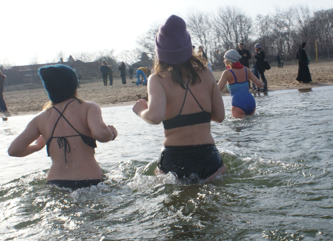 Morsy gdańskie Fot. Janusz Wikowski