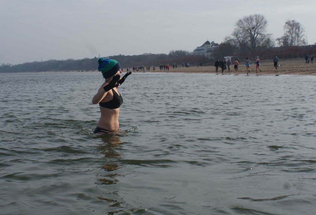 Morsy gdańskie Fot. Janusz Wikowski