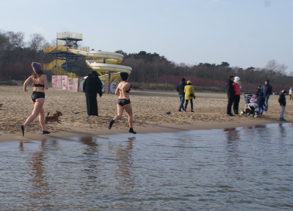 Morsy gdańskie Fot. Janusz Wikowski