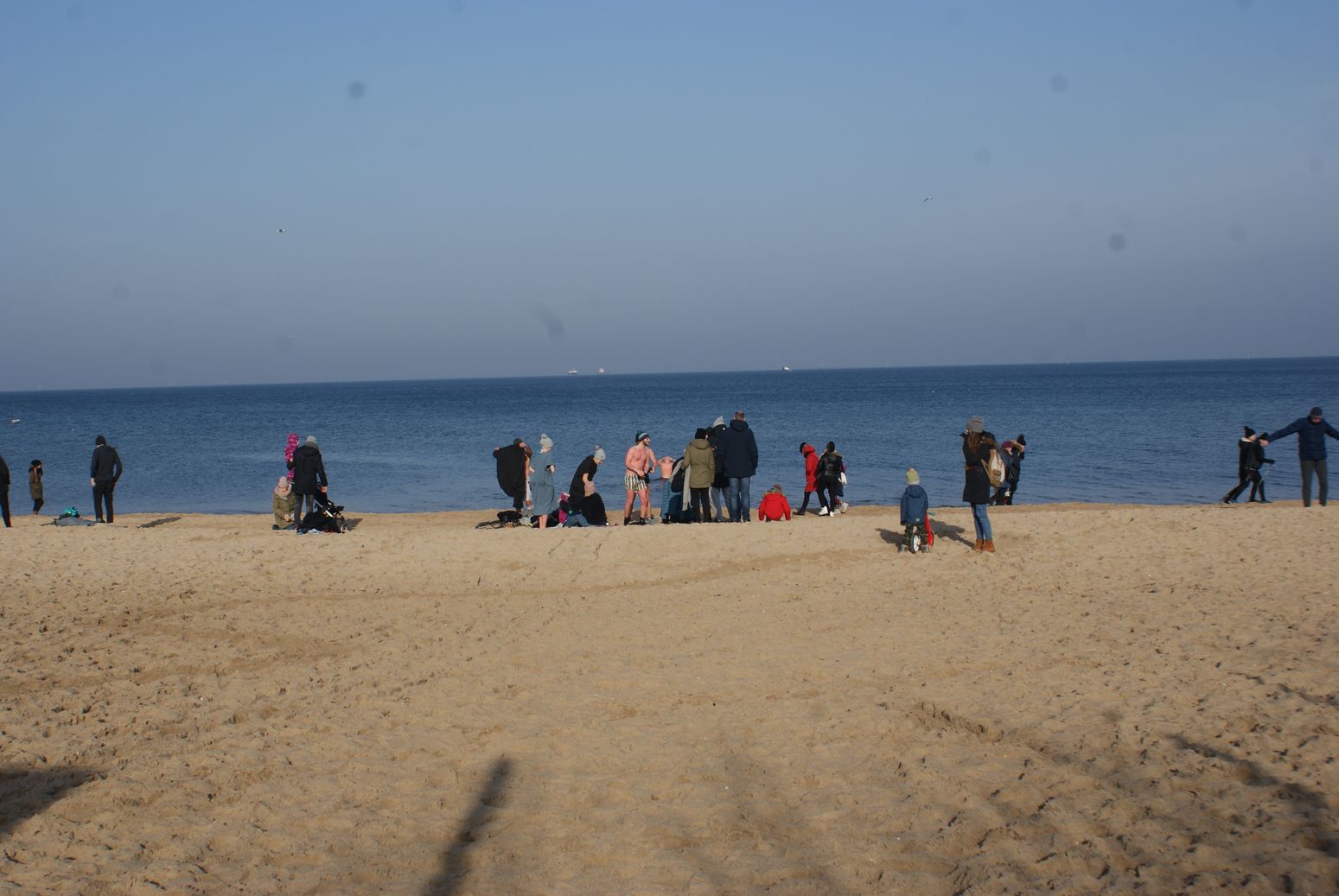 Morsy gdańskie Fot. Janusz Wikowski