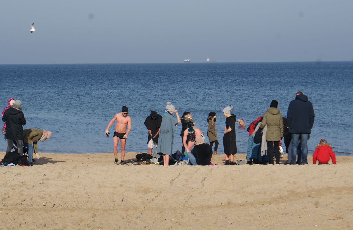 Morsy gdańskie Fot. Janusz Wikowski