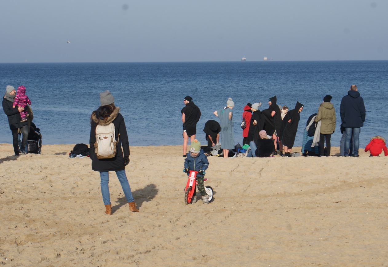 Morsy gdańskie Fot. Janusz Wikowski